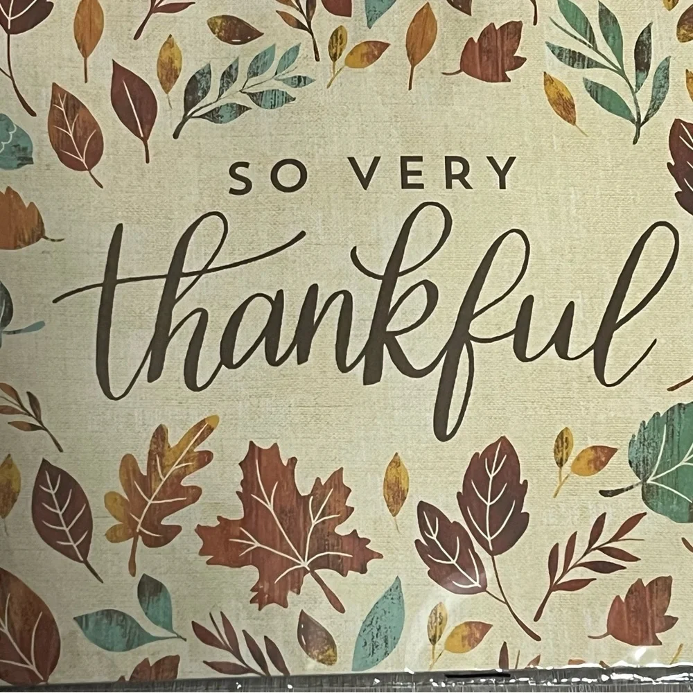 NWT-“So Very Thankful” 24 Placemats